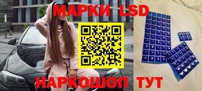 спиды Камышлов