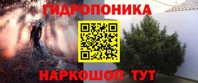 спиды Камышлов