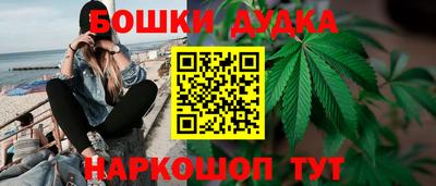мяу мяу мука Кандалакша