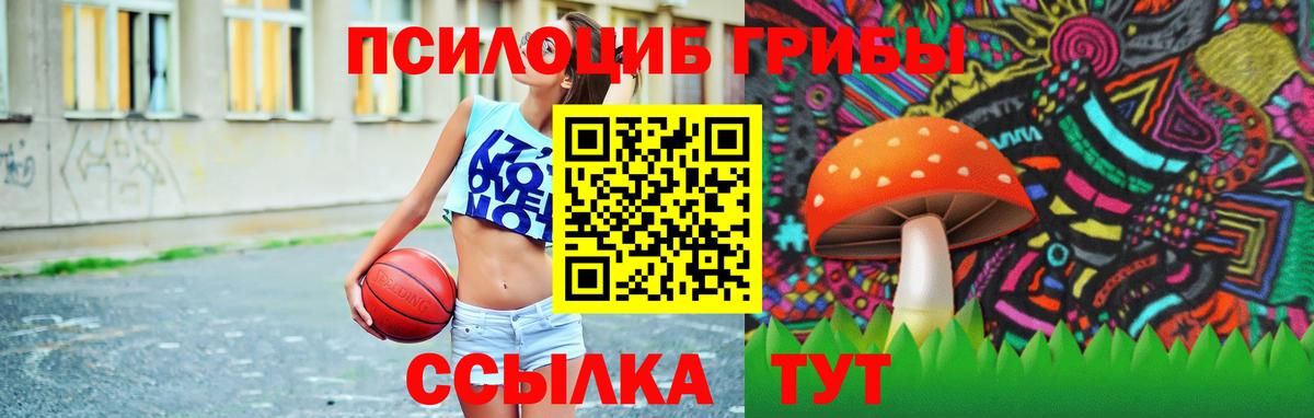 Краснокаменск  Псилоцибиновые грибы Psilocybe  Вход с VPN 